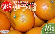 ＜訳あり 伊予柑 (サイズ混合) 約10kg＞蜜柑 ミカン みかん 果物 フルーツ 柑橘 いよかん 宮内伊予柑 西宇和 果汁 ジューシー 果肉 国産 愛媛県産 西予市産 ご家庭用 自宅用 訳アリ 特産品 丸二青果 愛媛県 西予市【常温】『2026年1月～3月に順次出荷予定』