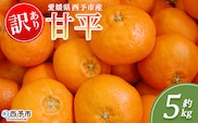 ＜訳あり 甘平 (サイズ混合) 約5kg＞蜜柑 ミカン みかん 果物 フルーツ 柑橘 かんぺい 果汁 ジューシー 果肉 国産 愛媛県産 西予市産 ご家庭用 自宅用 訳アリ 高級柑橘 特産品 丸二青果 愛媛県 西予市【常温】『2026年2月中旬～3月中旬頃に順次出荷予定』