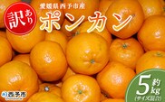 ＜訳あり ポンカン (サイズ混合) 約5kg＞蜜柑 ミカン みかん 果物 フルーツ 柑橘 ぽんかん 西宇和 果汁 ジューシー 国産 愛媛県産 西予市産 ご家庭用 自宅用 訳アリ 特産品 丸二青果 愛媛県 西予市【常温】『2026年1月～3月に順次出荷予定』