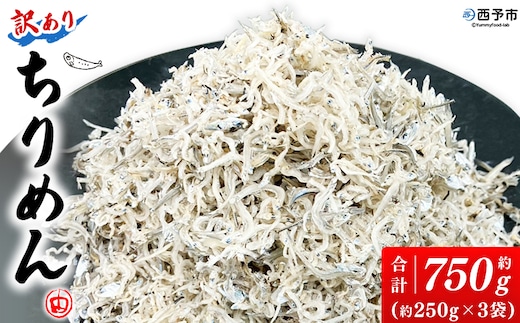 ＜訳あり ちりめん 約750g(250g×3袋)＞ 減塩 ちりめんじゃこ じゃこ 家庭用 海鮮 海産物 丼 おにぎり 具材 ご飯 おつまみ おやつ 小魚 乾物 国産 マルヨシ水産 特産品 愛媛県 西予市【冷蔵】『1か月以内に順次出荷予定』