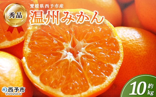 ＜西予市産 温州みかん 秀品 約10kg＞ 蜜柑 ミカン みかん 果物 フルーツ 柑橘 国産 愛媛県産 サイズおまかせ 10キロ うんしゅうみかん ウンシュウミカン 特産品 丸二青果 愛媛県 西予市【常温】『2025年11月～2026年1月迄に順次出荷予定』