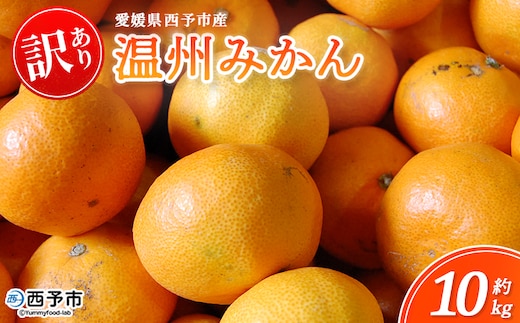 ＜西予市産 温州みかん 訳あり 約10kg＞ 蜜柑 ミカン 果物 フルーツ 柑橘 国産 愛媛県産 ご家庭用 自宅用 サイズ不揃い 10キロ 特産品 丸二青果 愛媛県 西予市【常温】『2025年11月～2026年1月迄に順次出荷予定』