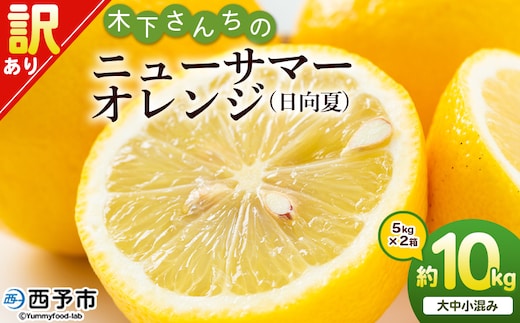 ＜木下さんちのニューサマーオレンジ 訳あり 約10kg（大中小サイズ混み）＞ 柑橘類 日向夏 ミカン 蜜柑 果物 くだもの フルーツ 国産 特産品 木下農園 愛媛県 西予市【常温】『2026年4月上旬～5月上旬に順次出荷』
