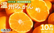 先行予約 ＜浅井果樹園 温州みかん 約10kg（南柑20号）＞ 果物 柑橘 フルーツ ミカン 蜜柑 オレンジ うんしゅうみかん ウンシュウミカン 食べて応援 特産品 西宇和 愛媛県 西予市 【常温】『2025年12月中旬～12月下旬迄に順次出荷予定』