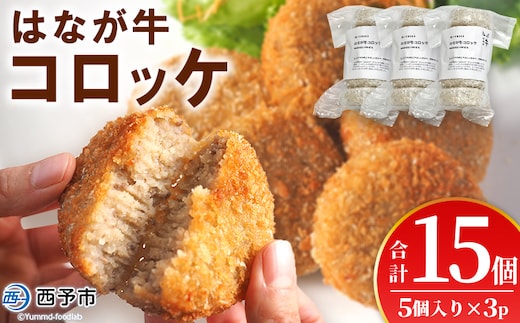 ＜はなが牛コロッケ 計15個＞ 5個入り オリジナル おつまみ お肉 牛肉 はなが牛 国産 ころっけ 肉加工品 冷凍食品 牛肉コロッケ 揚げ物 惣菜 お弁当 おかず 晩御飯 夕食 特産品 ゆうぼく 愛媛県 西予市 【冷凍】『1か月以内に順次出荷』