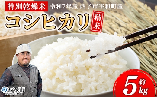 ＜令和7年産 コシヒカリ 5kg＞国産 白米 精米 5キロ 愛媛県産 宇和町産 宇和米 こしひかり お米 米 コメ こめ ご飯 うわまい ライス 特別乾燥米 産地直送 送料無料 特産品 福井ファーム 愛媛県 西予市【常温】『2025年12月中旬から順次発送予定』