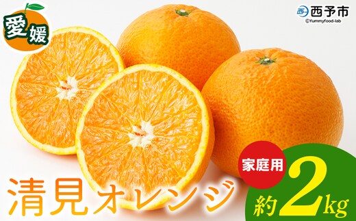 ＜清見オレンジ 家庭用 約2kg＞ 柑橘 みかん ミカン 蜜柑 果物 くだもの フルーツ きよみ キヨミ 訳あり ご自宅用 国産 愛媛産 特産品 おれんじはーと 食べて応援 西宇和 愛媛県 西予市【常温】『2026年3月上旬～3月下旬に順次出荷予定』