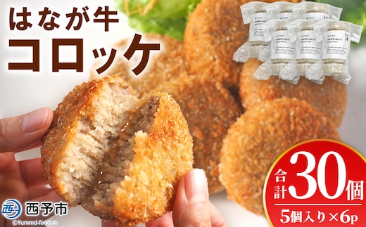 ＜はなが牛コロッケ 計30個＞ 5個入り オリジナル おつまみ お肉 牛肉 はなが牛 国産 ころっけ 肉加工品 冷凍食品 牛肉コロッケ 揚げ物 惣菜 お弁当 おかず 晩御飯 夕食 特産品 ゆうぼく 愛媛県 西予市 【冷凍】『1か月以内に順次出荷』