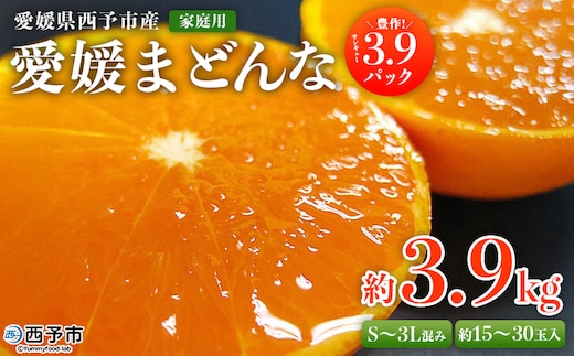 紅まどんなと同品種！＜愛媛県西予市産 愛媛まどんな 家庭用 豊作 3.9パック 約3.9kg＞ 訳あり 柑橘 果物 フルーツ 愛媛果試第28号 マドンナ 食べて応援 宇都宮物産【常温】『2025年12月上旬～12月下旬迄に順次出荷予定』