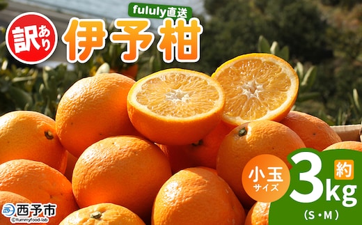 ＜fululy直送 伊予柑 訳あり 約3kg 小玉サイズ（S～M）＞ ワケアリ サイズ混合 小玉 果物 フルーツ 蜜柑 いよかん イヨカン 柑橘 家庭用 合同会社fululy 直送 愛媛県 西予市【常温】『2026年1月中旬～2月上旬迄に順次出荷』