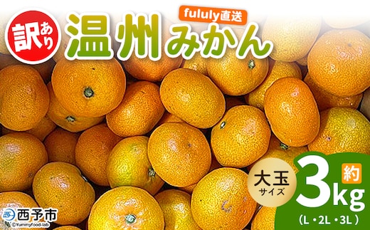 ＜fululy直送 温州みかん 訳あり 約3kg 大玉サイズ（L～3L）＞ ワケアリ サイズ混合 大玉 果物 フルーツ 蜜柑 うんしゅうみかん ウンシュウミカン 柑橘 家庭用 合同会社fululy 直送 愛媛県 西予市【常温】『2025年11月上旬～12月中旬迄に順次出荷』