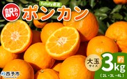 ＜fululy直送 ポンカン 訳あり 約3kg 大玉サイズ（2L～4L）＞ ワケアリ サイズ混合 大玉 果物 フルーツ 蜜柑 ぽんかん 柑橘 家庭用 合同会社fululy 直送 愛媛県 西予市【常温】『2026年1月下旬～2月中旬迄に順次出荷』