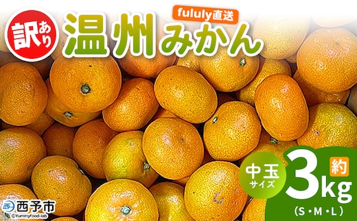＜fululy直送 温州みかん 訳あり 約3kg 中玉サイズ（S～L）＞ ワケアリ サイズ混合 中玉 果物 フルーツ 蜜柑 うんしゅうみかん ウンシュウミカン 柑橘 家庭用 合同会社fululy 直送 愛媛県 西予市【常温】『2025年11月上旬～12月中旬迄に順次出荷』