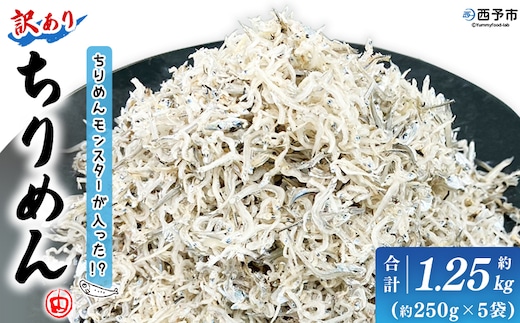 ＜ちりめんモンスターが入った!? 訳あり ちりめん 約1.25kg(250g×5袋)＞ちりめんじゃこ 海鮮 海産物 丼 おにぎり 具材 ご飯 おつまみ おやつ 小魚 乾物 国産 マルヨシ水産 特産品 愛媛県 西予市【冷蔵】『1か月以内に順次出荷予定』