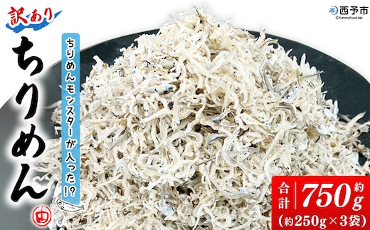 ＜ちりめんモンスターが入った!? 訳あり ちりめん 約750g(250g×3袋)＞ちりめんじゃこ 海鮮 海産物 丼 おにぎり 具材 ご飯 おつまみ おやつ 小魚 乾物 国産 マルヨシ水産 特産品 愛媛県 西予市【冷蔵】『1か月以内に順次出荷予定』