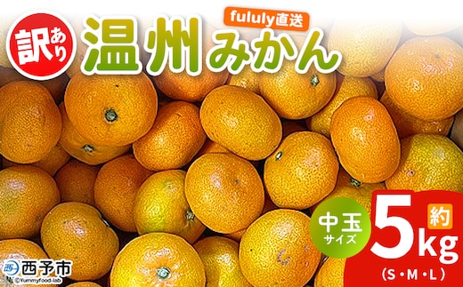 ＜fululy直送 温州みかん 訳あり 約5kg 中玉サイズ（S～L）＞ ワケアリ サイズ混合 中玉 果物 フルーツ 蜜柑 うんしゅうみかん ウンシュウミカン 柑橘 家庭用 合同会社fululy 直送 愛媛県 西予市【常温】『2025年11月上旬～12月中旬迄に順次出荷』