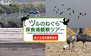 ＜ツルのねぐら・採食場観察ツアー（ねぐら立ち見学付き）＞ つる ツル 鶴 鳥 野鳥 貴重 体験 観察 ツアー ねぐら ネグラ ねぐら観察 ねぐら入り ねぐら立ち ナベヅル 鍋鶴 マナヅル 真鶴 真名鶴 野鳥観察 採食場 西予市観光物産協会 愛媛県 西予市