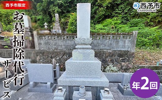 ＜お墓掃除 代行サービス（年2回）＞ 2基 墓所 墓石 お掃除 清掃 代理 代行 お手入れ お供え 供養 クリーン 花立 線香台 水鉢 雑草取り お墓参り お手入れ 徳山石材 愛媛県 西予市