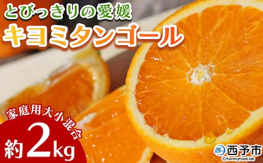 先行予約 ＜とびっきりの愛媛 キヨミタンゴール 約2kg（家庭用大小混合）＞ 訳あり 家庭用 果物 柑橘 フルーツ みかん 蜜柑 オレンジ 清見タンゴール 特産品 片山果樹園 食べて応援 西宇和 愛媛県 西予市【常温】『2026年3月中旬から順次出荷予定』