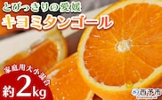 先行予約 ＜とびっきりの愛媛 キヨミタンゴール 約2kg（家庭用大小混合）＞ 訳あり 家庭用 果物 柑橘 フルーツ みかん 蜜柑 オレンジ 清見タンゴール 特産品 片山果樹園 食べて応援 西宇和 愛媛県 西予市【常温】『2026年3月中旬から順次出荷予定』