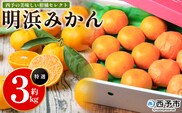 ＜西予の美味しい柑橘セレクト（特選）／明浜みかん（約3kg）＞ 果物 くだもの フルーツ 蜜柑 みかん ミカン 柑橘 贈答 贈答用 ギフト プレゼント 特選 温州みかん 食べて応援 国産 愛媛県産 特産品 西予みかん倶楽部 愛媛県 西予市『11月から順次出荷予定』【常温】