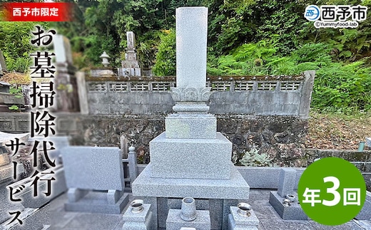 ＜お墓掃除 代行サービス（年3回）＞ 2基 墓所 墓石 お掃除 清掃 代理 代行 お手入れ お供え 供養 クリーン 花立 線香台 水鉢 雑草取り お墓参り お手入れ 徳山石材 愛媛県 西予市