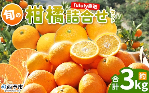 ＜fululy直送 柑橘詰合せセット 約3kg＞ 詰め合わせ 旬 食べ比べ おまかせ 果物 フルーツ 蜜柑 ポンカン 伊予柑 せとか 甘平 八朔 はるか 文旦 柑橘 贈答用 合同会社fululy 直送 愛媛県 西予市【常温】『2026年2月上旬～3月下旬迄に順次出荷』
