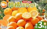 ＜fululy直送 柑橘詰合せセット 約3kg＞ 詰め合わせ 旬 食べ比べ おまかせ 果物 フルーツ 蜜柑 ポンカン 伊予柑 せとか 甘平 八朔 はるか 文旦 柑橘 贈答用 合同会社fululy 直送 愛媛県 西予市【常温】『2026年2月上旬～3月下旬迄に順次出荷』