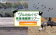 ＜ツルのねぐら・採食場観察ツアー（ツルの採食場観察のみ）＞ つる ツル 鶴 鳥 野鳥 貴重 体験 観察 ツアー ねぐら ネグラ ねぐら観察 ねぐら入り ねぐら立ち ナベヅル 鍋鶴 マナヅル 真鶴 真名鶴 野鳥観察 採食場 西予市観光物産協会 愛媛県 西予市