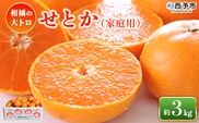 ＜せとか（家庭用）約3kg＞ 自宅用 訳あり ワケアリ 果物 くだもの フルーツ セトカ 3キロ 高級柑橘 柑橘の大トロ 柑橘 特産品 笑丸 愛媛県 西予市【常温】『2026年3月上旬～3月中旬に順次出荷予定』
