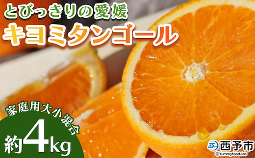 先行予約 ＜とびっきりの愛媛 キヨミタンゴール 約4kg（家庭用大小混合）＞ 訳あり 家庭用 果物 柑橘 フルーツ みかん 蜜柑 オレンジ 清見タンゴール 特産品 片山果樹園 食べて応援 西宇和 愛媛県 西予市【常温】『2026年3月中旬から順次出荷予定』