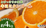 先行予約 ＜とびっきりの愛媛 キヨミタンゴール 約4kg（家庭用大小混合）＞ 訳あり 家庭用 果物 柑橘 フルーツ みかん 蜜柑 オレンジ 清見タンゴール 特産品 片山果樹園 食べて応援 西宇和 愛媛県 西予市【常温】『2026年3月中旬から順次出荷予定』
