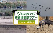 ＜ツルのねぐら・採食場観察ツアー（ツルのねぐら観察のみ）＞ つる ツル 鶴 鳥 野鳥 貴重 体験 観察 ツアー ねぐら ネグラ ねぐら観察 ねぐら入り ねぐら立ち ナベヅル 鍋鶴 マナヅル 真鶴 真名鶴 野鳥観察 採食場 西予市観光物産協会 愛媛県 西予市