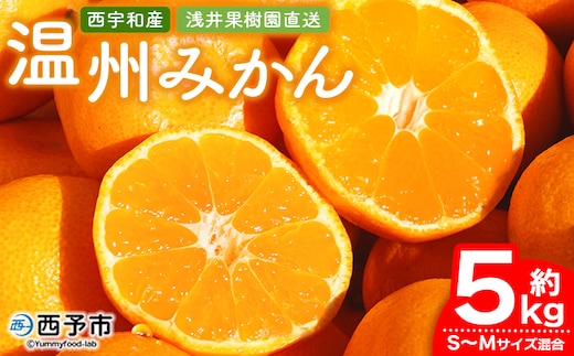 先行予約 ＜浅井果樹園 温州みかん 約5kg（南柑20号）＞ 果物 柑橘 フルーツ ミカン 蜜柑 オレンジ うんしゅうみかん ウンシュウミカン 食べて応援 特産品 西宇和 愛媛県 西予市 【常温】『2025年12月中旬～12月下旬迄に順次出荷予定』