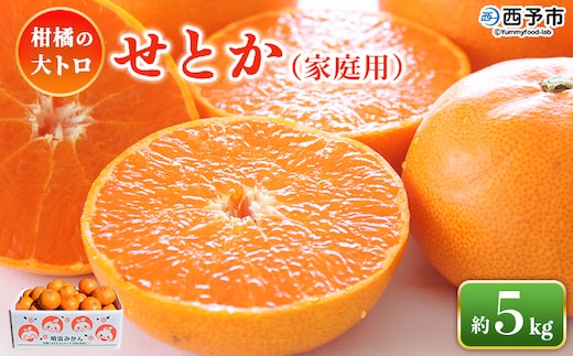 ＜せとか（家庭用）約5kg＞ 自宅用 訳あり ワケアリ 果物 くだもの フルーツ セトカ 5キロ 高級柑橘 柑橘の大トロ 柑橘 特産品 笑丸 愛媛県 西予市【常温】『2026年3月上旬～3月中旬に順次出荷予定』