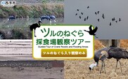 ＜ツルのねぐら・採食場観察ツアー（ツルのねぐら入り観察のみ）＞ つる ツル 鶴 鳥 野鳥 貴重 体験 観察 ツアー ねぐら ネグラ ねぐら観察 ねぐら入り ねぐら立ち ナベヅル 鍋鶴 マナヅル 真鶴 真名鶴 野鳥観察 採食場 西予市観光物産協会 愛媛県 西予市