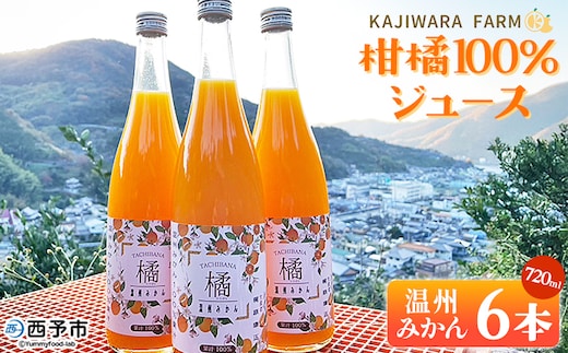 ＜柑橘100％ジュース （温州みかん6本）＞ 温州みかん ストレートジュース 果汁100％ ミカン 蜜柑 果物 柑橘 かじわらFARM 愛媛県 西予市【常温】『1か月以内に順次出荷予定』