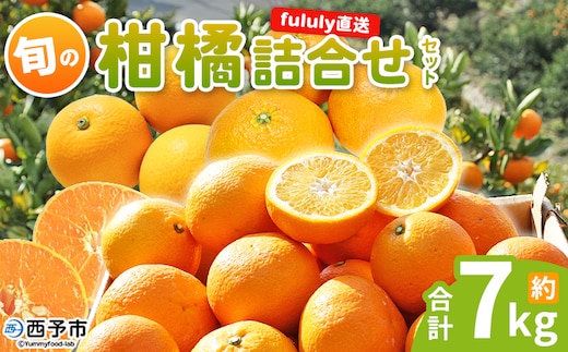 ＜fululy直送 柑橘詰合せセット 約7kg＞ 詰め合わせ 旬 食べ比べ おまかせ 果物 フルーツ 蜜柑 ポンカン 伊予柑 せとか 甘平 八朔 はるか 文旦 柑橘 贈答用 合同会社fululy 直送 愛媛県 西予市【常温】『2026年2月上旬～3月下旬迄に順次出荷』