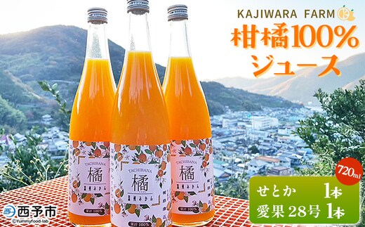 ＜柑橘100％ジュース （せとか+まどんな（愛果28号）2本）＞ストレートジュース 果汁100％ ミカン 蜜柑 果物 柑橘 かじわらFARM 愛媛県 西予市【常温】『1か月以内に順次出荷予定』