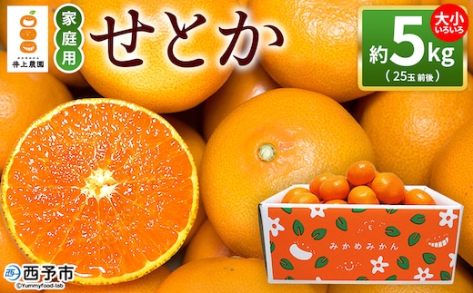 ＜せとか 約5kg 家庭用＞ 訳あり 不揃い 25玉前後 お試し 柑橘 みかん ミカン 蜜柑 果物 くだもの フルーツ セトカ オレンジ 濃厚 薄皮 国産 愛媛産 特産品 食べて応援 laugh印 井上農園 愛媛県 西予市【常温】『2026年3月上旬～3月中旬迄に順次出荷予定』