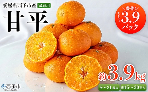 ＜愛媛県西予市産 甘平 家庭用 豊作 サンキューパック 約3.9kg＞ 訳あり ワケアリ かんぺい カンペイ 大粒果肉 甘み 柑橘 果物 フルーツ くだもの 国産 愛媛県産 サイズ不揃い 傷あり 食べて応援 宇都宮物産【常温】『2026年2月上旬～3月中旬迄に順次出荷』