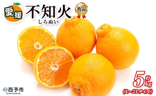 ＜秀品 不知火 (L～2Lサイズ) 約5kg＞愛媛 蜜柑 ミカン みかん 果物 フルーツ 柑橘 国産 秀品 ギフト 贈答用 しらぬひ しらぬい シラヌイ 不知火 愛媛県産 西予市産 西宇和 特産品 丸二青果 愛媛県 西予市【常温】『2026年2月～3月頃に順次出荷予定』