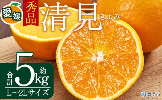 ＜秀品 清見 (L～2Lサイズ) 約5kg＞愛媛 蜜柑 ミカン みかん 果物 フルーツ 柑橘 国産 秀品 ギフト 贈答用 きよみ 贈り物 贈物 プレゼント 愛媛県産 西予市産 西宇和 特産品 丸二青果 愛媛県 西予市【常温】『2026年3月中旬から順次出荷予定』
