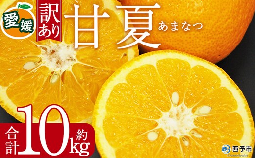 ＜訳あり 甘夏 (サイズ混合) 約10kg＞あまなつ 爽やか 程よい酸味 愛媛 蜜柑 ミカン みかん 果物 フルーツ 柑橘 国産 訳アリ ご家庭用 愛媛県産 西予市産 西宇和 特産品 丸二青果 愛媛県 西予市【常温】『2026年3月上旬から順次出荷予定』