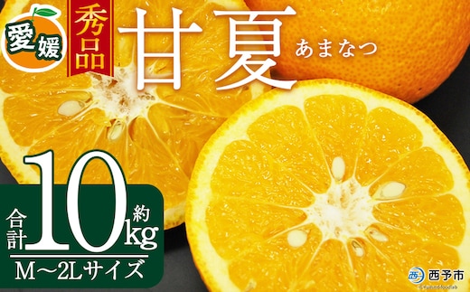＜秀品 甘夏 (M～2Lサイズ) 約10kg＞ あまなつ 愛媛 蜜柑 ミカン みかん 果物 フルーツ 柑橘 国産 秀品 ギフト 贈答用 贈り物 贈物 プレゼント 愛媛県産 西予市産 西宇和 特産品 丸二青果 愛媛県 西予市【常温】『2026年3月上旬から順次出荷予定』