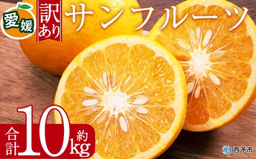 ＜訳あり サンフルーツ (サイズ混合) 約10kg＞みずみずしい 果汁 爽やか 酸味 愛媛 蜜柑 ミカン みかん 果物 フルーツ 柑橘 国産 訳アリ ご家庭用 愛媛県産 西予市産 西宇和 特産品 丸二青果 愛媛県 西予市【常温】『2026年3月上旬から順次出荷予定』
