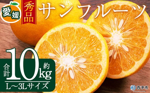 ＜秀品 サンフルーツ (L～3Lサイズ) 約10kg＞果汁 愛媛 蜜柑 ミカン みかん 果物 フルーツ 柑橘 国産 秀品 ギフト 贈答用 贈り物 贈物 プレゼント 愛媛県産 西予市産 西宇和 特産品 丸二青果 愛媛県 西予市【常温】『2026年3月上旬から順次出荷予定』