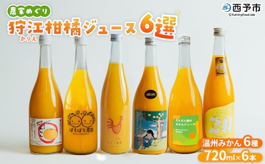 ＜農家めぐり 狩江柑橘ジュース 6選（温州みかん）＞ 温州みかん 南柑20号 愛媛県産 飲料 ジュース 国産 みかん 蜜柑 ミカン ストレートジュース 果汁 セット 詰合せ 6種 6本 企業組合かりエンジョイ 愛媛県 西予市 【常温】『4月中旬以降順次出荷予定』