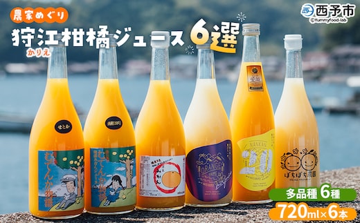 ＜農家めぐり 狩江柑橘ジュース 6選（多品種）＞ 多品種 アソート 愛媛県産 飲料 ジュース 国産 みかん 蜜柑 ミカン ストレートジュース 果汁 セット 飲み比べ 詰合せ 6本 企業組合かりエンジョイ 愛媛県 西予市 【常温】『4月中旬以降順次出荷予定』