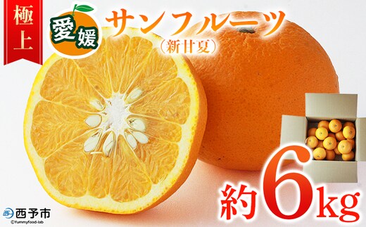 ＜愛媛県西予市産 サンフルーツ（新甘夏）極上 約6kg＞ 極上品 サンフルーツ サンフル 新甘夏 果物 フルーツ みかん 蜜柑 柑橘 特産品 愛媛県産 食べて応援 宇都宮物産 愛媛県 西予市【常温】『2026年3月中旬～4月迄に順次出荷予定』